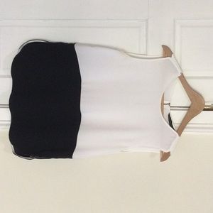 Zara sleeveless color block top.